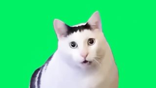 не игнорь оленя