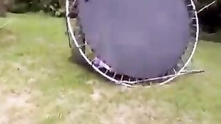 The_end_????????????_#funny_#fails_#shorts_#viral_#failflux(360p)(13).