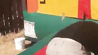 The_end_????????????_#funny_#fails_#shorts_#viral_#failflux(360p)(11).