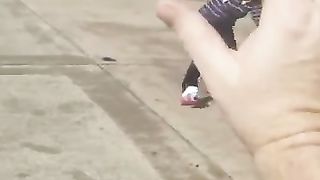 The_end_????????????_#funny_#fails_#shorts_#viral_#failflux(360p)(10).