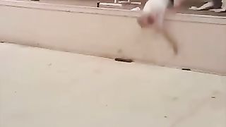 the_end_????????????_#shorts_#shortvideo_#youtubeshorts_#funny_#fails_#Sahil_Sam_#humour(360p)(22).