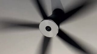 House - Fan