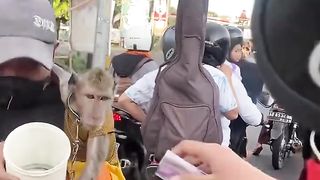 fail moment funny video