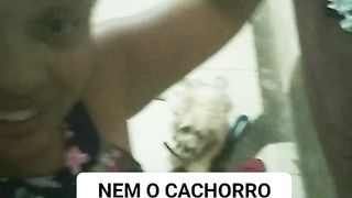 Quando bate a vontade de sapatear