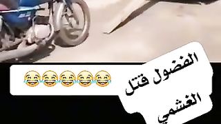 الفصول يقتل الغشمي