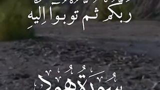 Quran 138
