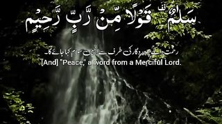 Quran 141