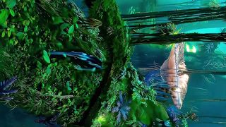 The Beauty of Pandora