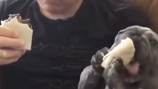 Don't miss this video 4