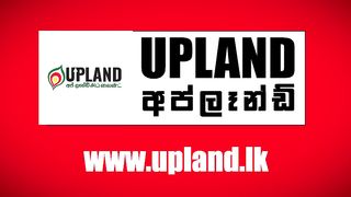 මැනිකේ මගේ හිතේ song????