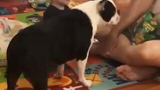 Cute baby playing with dog