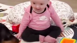 Cute baby playing with the dog