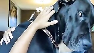 Love animals 5