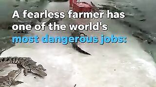 Feeding time 2