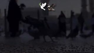 viral video #capcut #tiktok #grow #500k #fyp #tranding #foryou #dance #newtrand #kanwalcutegirl #abibi845821#febspot#allah 13