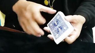 Amazing videos vol 260