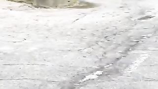 Massive land slide