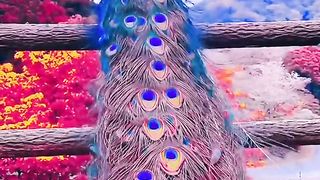 Birds 22