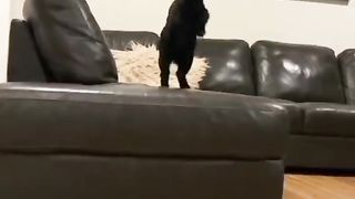 Video fanny 2