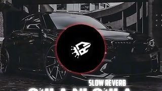 Car is everything