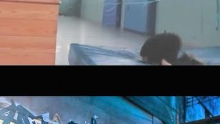 Ridiculous Incident vol 214