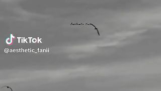 Believe in only one ALLAH ☺️ please subscribe
