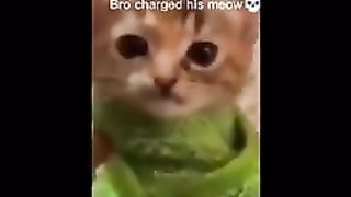 Random Memes #3