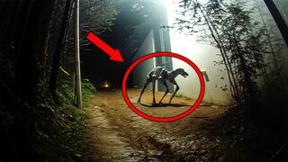20 Creepy Things cought on Film