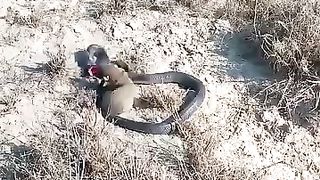The carrying