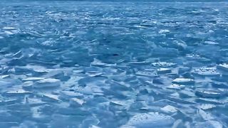 Nature ICE