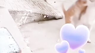 Nice video today please subscribe