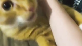 is so funny????????????