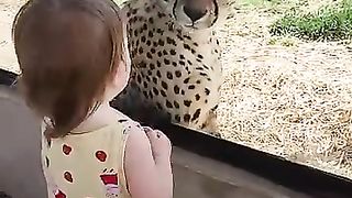 Close encounter