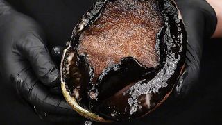 Braised Abalone