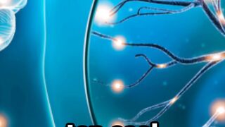 Random Mind Blowing Psychology Facts #2 #facts #shortvideo #randomfacts #psychologyfacts
