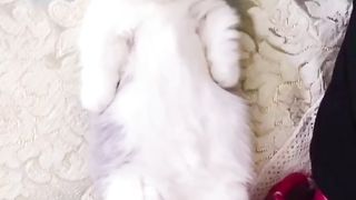 Funny actions 147