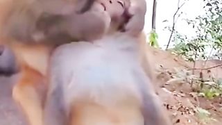 Here, I'll kiss you forcibly