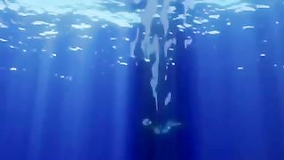 DIVER