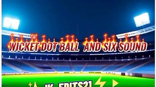 cricket wicket dot ball and six sound
