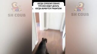Я РЖАЛ ДО СЛЕЗ ????30 Минут смеха 2024 Смешные Видео Лучшие Лютые Приколы
