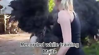 Ostrich attack