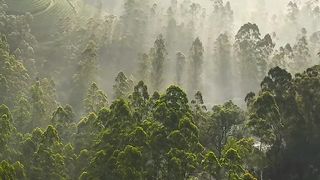 Beauty of Earth