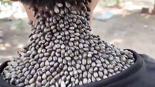 Satisfying Video That Is No More Satisfying_