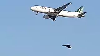 The aerial Aeroplan