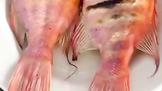 Yummy Food 2
