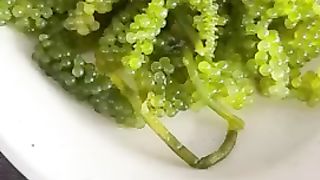 Latok-latok