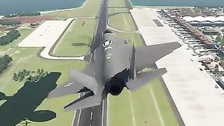 Oh what a fly