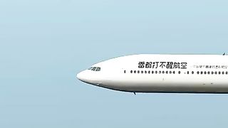 The flight of a