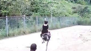 The_End.????????????#Fails#Funny#oppsmts(360p)(2).