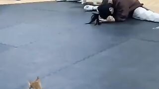 The_End.????????????#funny_#fyp_#fails_#funnyvideo(360p)(3).